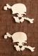 MOP SKULL